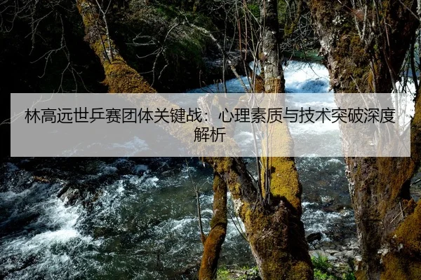 林高远世乒赛团体关键战：心理素质与技术突破深度解析